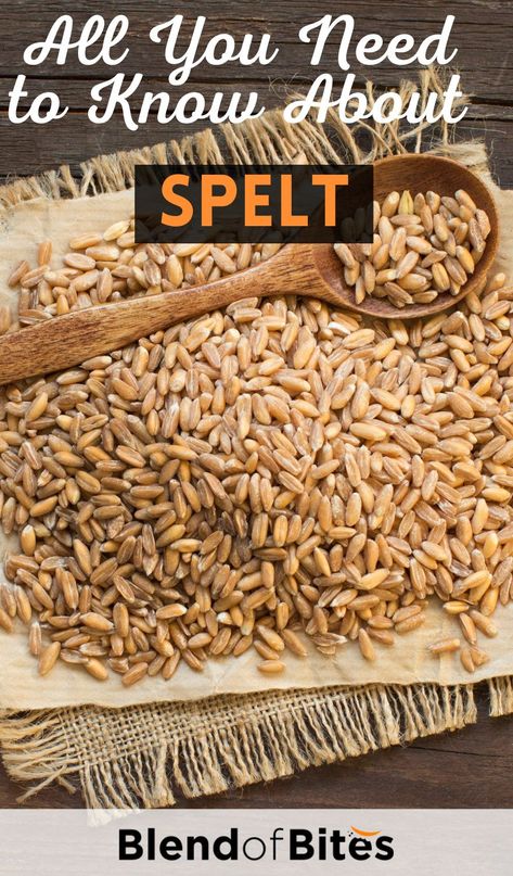 Spelt Grain Recipes, Spelt Recipes Grains, Spelt Flour Benefits Health, Spelt Flour Bread Recipes, Spelt Berries Recipes, Spelt Berry Recipes, Whole Grain Spelt Recipes, Spelt Sourdough Starter, Spelt Flour Sourdough Bread