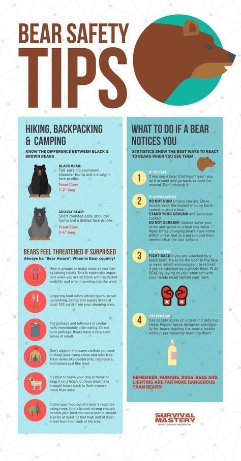 Bear Safety Tips Hiking Tips, Camping Essentials, Nature, Backpacking Tips, Bear Safety, Camping Safety, Hiking Essentials, Hunting Tips, Hiking Backpacking