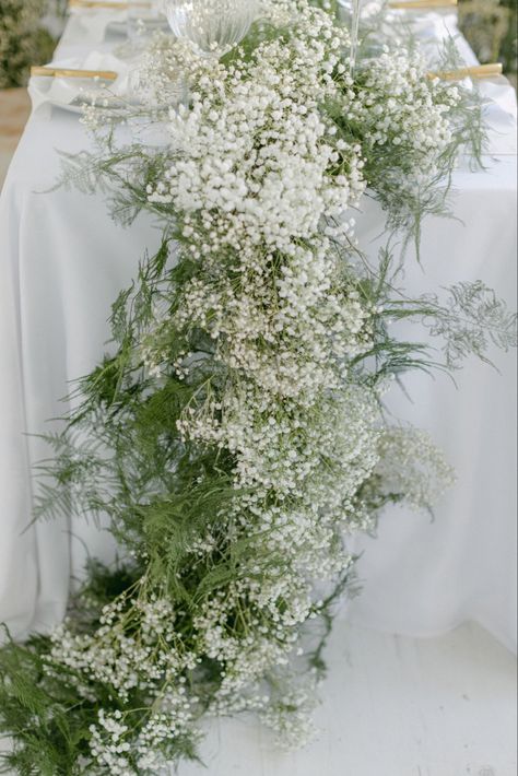 Gypsophila flower