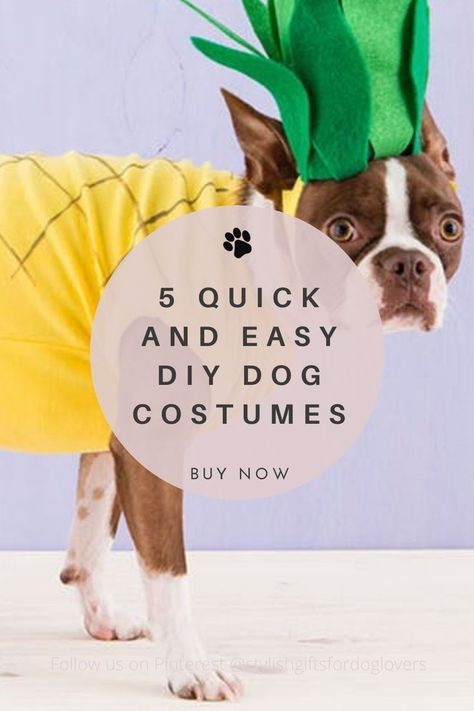 5 Quick and Easy DIY Dog Costumes Dachshund Costume Diy, Diy Dog Flower Costume, Diy Dog Bee Costume, Easy Dog Costumes, Dog Costume Diy, Easy Dog Costumes Diy, Diy Dog Costume, Homemade Dog Costumes, Dog Costumes Homemade