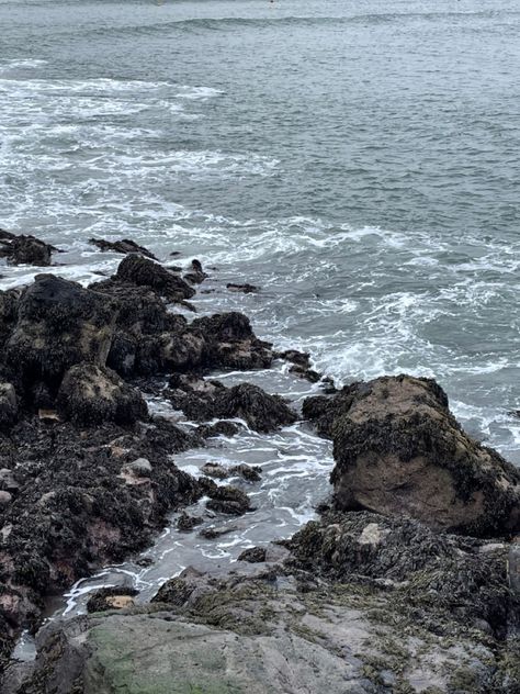 Gloomy and dark atmosphere, the photo is of a rocky shore with waves crashing against the rocks. Asoiaf Locations, Daylight Rings, Scottish Coast, Sea Hag, Devils Advocate, Scotland Aesthetic, Rocky Island, Environment Photo, Nautical Aesthetic