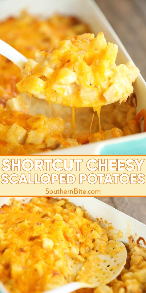 Whip up these Shortcut Cheesy Scalloped Potatoes with a time-saving twist—using frozen diced hash browns! This easy side dish is perfect for busy weeknights or special occasions. Quick, comforting, and loaded with flavor, this recipe is sure to be a family favorite. 

#ScallopedPotatoes #HashBrownRecipes #EasySideDishes #ComfortFood #CheesyPotatoes #QuickRecipes #FamilyMeals Scalloped Hashbrown Potatoes, Scalloped Potatoes Make Ahead, Good Easy Sides For Dinner, Best Cheesy Potato Casserole, Scalloped Potatoes Easy Crockpot, Quick Potato Recipes Side Dishes, Easy Supper Side Dishes, Cheesy Potatoes With Frozen Hashbrowns, Cheesy Potatoes Thanksgiving