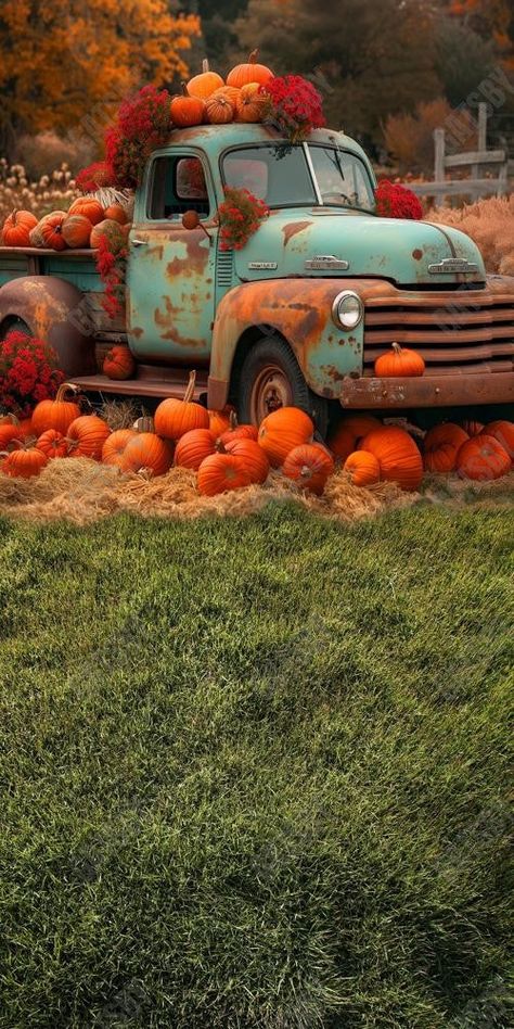 Gatsby Autumn Acres Pumpkin Patch Photography Backdrop Gbsx-00652 - Gatsby Backdrop Fall Picture Background Ideas, Fall Photoshoot Backdrop, Fall Mini Sessions Set Up Outdoor Simple, Autumn Beauty Wallpaper, Pumpkin Patch Photo Backdrop, Fall Pumpkins Photography, Country Fall Aesthetic, Harvest Photoshoot, Fall Harvest Food