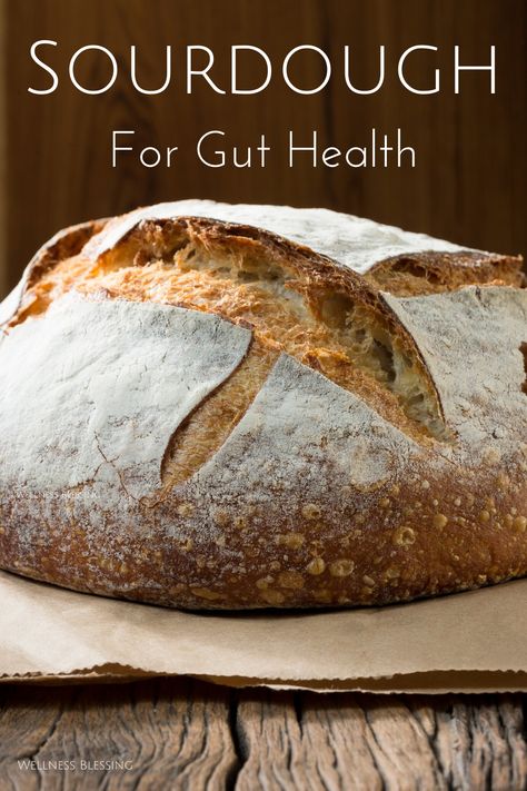 How sourdough bread supports gut health. #sourdough #bread #guthealth #microbiome Healthy Homemade Sourdough Bread, How To Make Healthy Sourdough Bread, Sourdough Bread Gut Health, Healthy Sour Dough Bread Recipe, Gut Healthy Bread Recipe, Healthiest Sourdough Bread, Sourdough Bread Health Benefits, Benefits Of Sourdough Bread Health, High Fiber Sourdough Bread