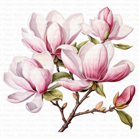 Unique Clipart, Magnolia Branch, Collage Images, Art Carte, Flower Clipart, Cactus Flower, Nature Illustration, Social Media Posts, Botanical Art