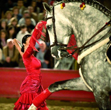 Spanish Flamenco Dancer with Apaloosa Horse Spanish Dancing, Lusitano Horse, Celebrity Magazines, Horse Dressage, Flamenco Dancers, Horse Equestrian, Horse Rider, Horse Head, A Horse