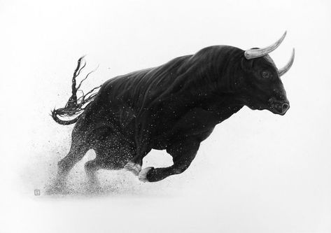 taureau en mouvement, image, stock.xchng, one, mammal, bull, cattle, winter, animal, snow, nature, cow, horn, livestock, wildlife, art, splash, motion, side view, action energy Bull Reference, Bull Art Drawing, Animals In Motion, Bull Artwork, Pbr Bull Riding, Bull Pictures, Bull Tattoo, Wild Bull, Art Splash