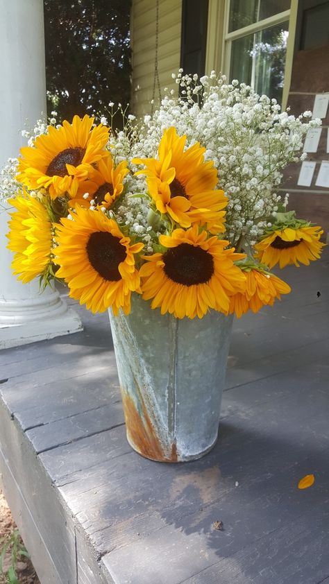 Bucket Flowers, Sunflower Bucket, Potted Sunflowers, Bucket Flower, Fav Flower, Bell Pictures, Tin Pots, Tin Bucket, Fun Party Themes