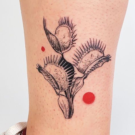 𝗘𝗿𝗶𝗸𝗮 𝗩𝗲𝗻𝗱𝗲𝘁𝘁 𝗜𝗻𝗸 on Instagram: “A Dionaea Muscipula aka Venus Flytrap for Alexa. Reallllly loved doing this one. 🥰 Books for March opening soon. I have a spot this coming…” Sundew Tattoo, Thorn Flower Tattoo, Horticulture Tattoo, Venus Fly Trap Tattoos, Tattoo Venus Fly Trap, Unique Bug Tattoo, Flytrap Tattoo, Pill Bug Tattoo, Venus Flytrap Drawing