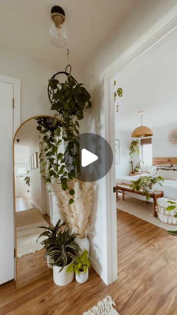 Heather Barnes on Instagram: "Hanging Planter How To  I get asked how I hang planters all the time so I figured it was time to save it in a reel.  I use zinc hooks from the hardware store that I spray paint black or gold along with a drywall anchor.  Drill into the ceiling and insert drywall anchor. Twist the hook into the anchor, and voila!   Now you can justify more plants in your home, add interest to a boring corner, or keep your plants out of reach of kids and pets!  Happy Hanging!  #hangingplant #plantdiy #hangingplanter #hangingplants #arch mirror  #stylingwithplants #plantlady #houseplants #houseplantclub #shelfiesunday #bohodecor #modernboho #botanicalwomen #plantgang #plantcollection #plantlover #urbanjungle #planthappiness #plantaddicted #lightandbright #cozyhome #inspiremeneutr Drywall Anchor, Home Re, Kids And Pets, Paint Black, Arch Mirror, The Anchor, Hanging Planter, Diy Plants, Plant Collection