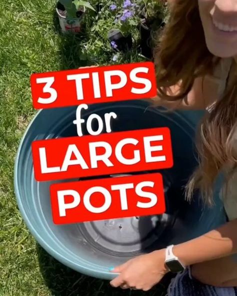 Large Outdoor Potted Plants, Plants In Big Pots Outdoor, What To Fill Big Flower Pots With, Large Planter Hacks, How To Fill Big Planters Large Pots Outdoor, How To Fill Large Outdoor Planters, Filling Large Outdoor Planters, Decorating Pots For Plants, How To Fill Big Planters Large Pots