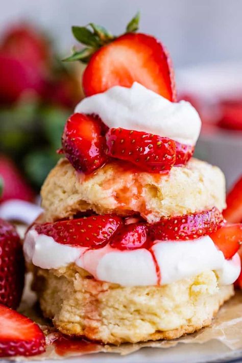 Desserts That Go Well With Tacos, Strawberry Shortcake With Biscuits, Book Desserts, Strawberry Stuff, Strawberry Shortcake Recipe, Strawberry Shortcakes, The Food Charlatan, Sponge Cakes, Shortbread Bars