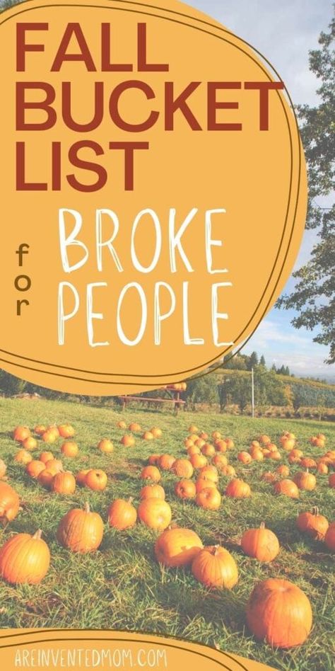 Fall Bucket List Ideas, Fall Family Fun, Yummy Fall Recipes, Fall Dates, Cheap Fall, Bucket List Ideas, Fun Fall Activities, Autumn Activities For Kids, Fall Bucket List