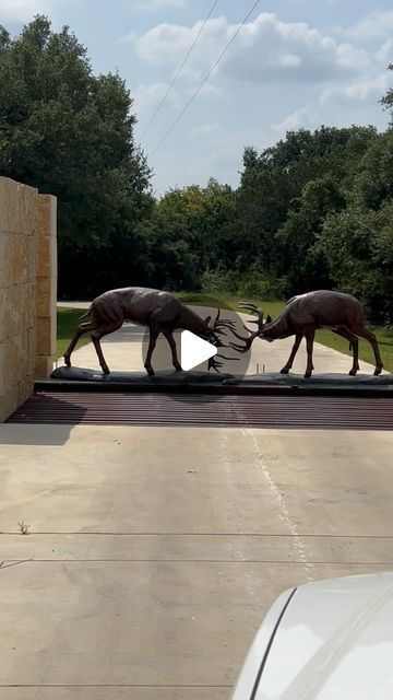 Sierra Mesa Ranch on Instagram: "The best gate for a whitetail ranch!  I was ready to move in to @hatadawhitetails 🦌

#homedesign #homedecor #landscapedesign #bronzeart #bronzestatue #whitetaildeer #deer #texas #sierramesaranch" Ranch Gates Entrance Ideas, Ranch Entrance Ideas, With Color, Ranch Gates, Log Cabin Interior, Entrance Ideas, Texas Ranch, Bear Creek, House Gate Design