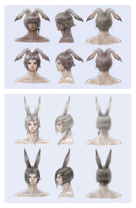 Male Viera Hairstyles Artwork - Final Fantasy XIV: Endwalker Art Gallery Viera Male, Male Viera, Monster Ocs, Male Hairstyles, Hair Png, Athletic Hairstyles, Hairstyle Gallery, Game Character Design, Horror Music