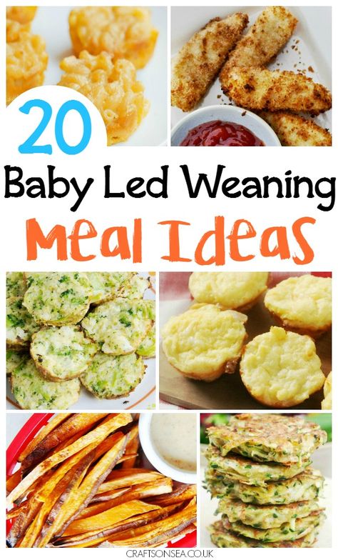 Baby Led Weaning Family Recipes Recipes For Baby Led Weaning, Recipes For Baby, Fingerfood Baby, Baby Recipe, Veggie Meatballs, Baby Led Weaning First Foods, Weaning Foods, Baby Led Feeding, Mississippi Pot Roast