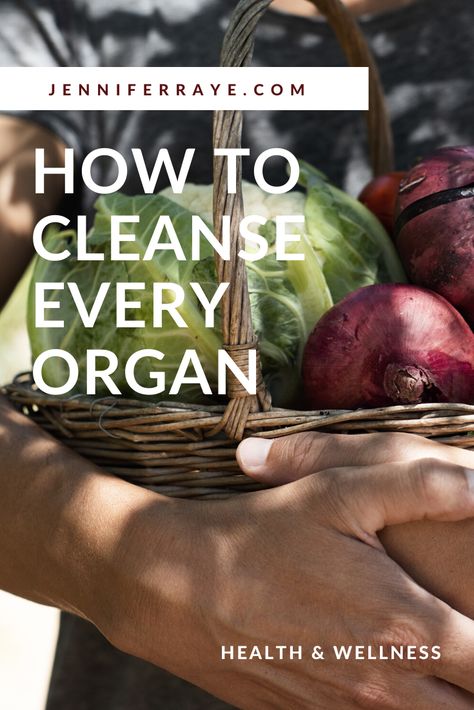 Organ cleanses are great ways to increase vitality, build energy, and boost health. Detox your organs with these specific cleanses. #organcleanse #organdetox #detox #cleanse Organ Cleanse, At Home Cleanse, Whole Body Cleanse, Dry Brushing Skin, Lymph Fluid, Ancient Healing, Skin Brushing, Cleanse Me, Self Massage