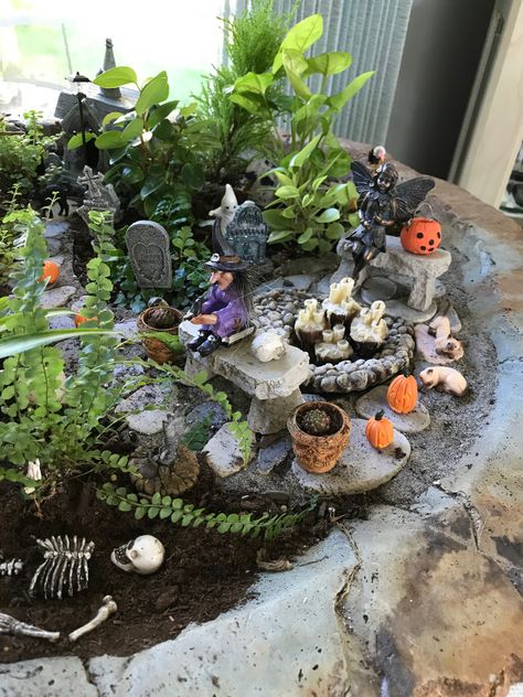 Witchy Fairy Garden, Gothic Fairy Garden, Haunted Fairy Garden, Goth Fairy Garden, Halloween Fairy Garden Ideas, Spooky Fairy Garden, Halloween Fairy House, Diy Halloween Fairy Garden, Spooky Terrarium