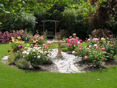 Garden Design Ideas Uk, Rose Garden Ideas, Roses Garden Care, Rose Garden Landscape, Rose Garden Design, Cottage Garden Design, Patio Plants, Garden Rose, Garden Backyard