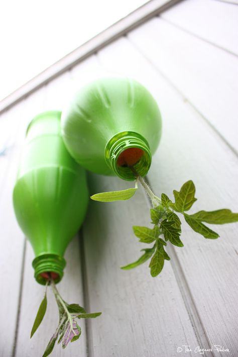 Hængende tomatplanter. Vi så det i Sverige i en lille hyggelig by langt ude på landet, hvor den lokale keramiker havde tomatplanter hængende i æbletræet. Jeg tænker nu at snupse denne dejlige DIY og så hænge dem på vores varme sydmur... Tomatoes In Containers, Tomato Planter, Dinosaur Garden, Tomato Trellis, Fruit Bearing Trees, Vegetable Garden Tips, Growing Tomatoes In Containers, Grow Tomatoes, Farm Land