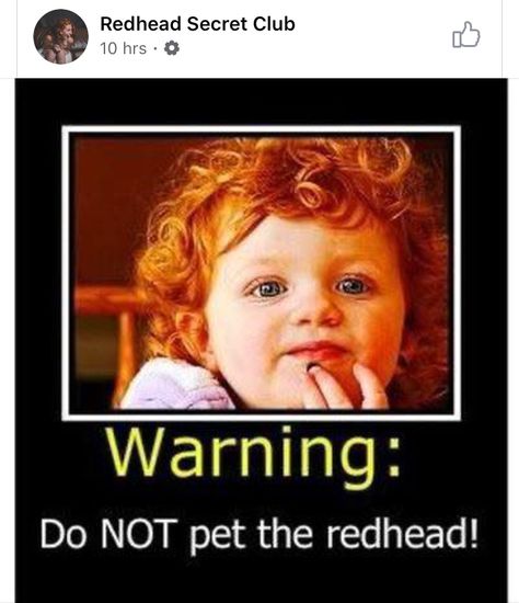 Redhead Memes, Ginger Quotes, Ginger Problems, Ginger Jokes, Redhead Quotes, Natural Red Hair, Happy Morning Quotes, Red Hair Don't Care, Dyed Red Hair