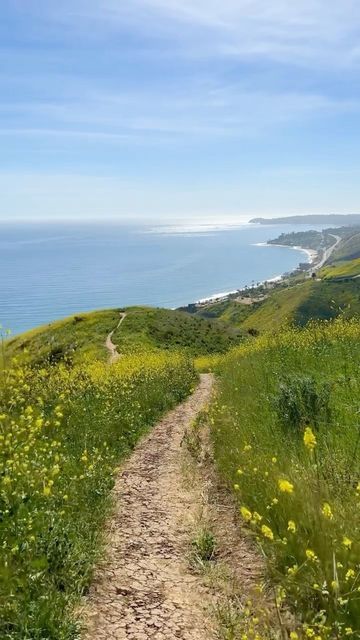 California Hiking Aesthetic, Los Angeles Hike Aesthetic, Canyon Lake California, Beachwood Canyon Aesthetic, Point Dume Malibu, Los Angeles Hiking, Hiking Aesthetic California, Los Angeles Hikes, Malibu Hikes