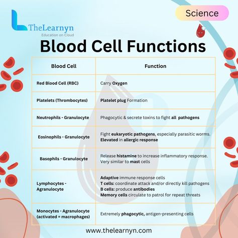 The Amazing World of Blood Cells! Dive into the microscopic universe of blood cells with us! 🧫 Let's unravel the incredible functions of these tiny powerhouses that keep our bodies running smoothly. From oxygen delivery to fighting off infections, blood cells are the unsung heroes of our circulatory system! Have you ever wondered what makes your blood flow smoothly through your veins, delivering oxygen and nutrients to every corner of your body? 🤔 It's all thanks to the remarkable teamw... Increase White Blood Cell Count, Parts Of Blood, Medical Microbiology, Types Of Blood Cells, Function Of Blood, Nursing School Studying Cheat Sheets, Low White Blood Cells, Biology Diagrams, Nurse Study