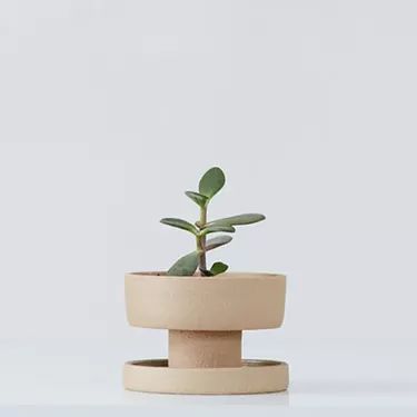 Search No More: 16 Planters with Drainage, from Bold to Minimal Japanese Plant Pot, Clay Plant Pots, Pottery Pots, Blue Planter, Clay Planters, Pot Ideas, Handmade Plant, Concrete Pots, Natural Clay