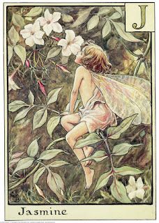 Fairy Images, Fairy Illustration, Fairy Pictures, Cicely Mary Barker, Jasmine Flower, Fairies Elves, Vintage Fairies, Fairy Book, Fairy Magic