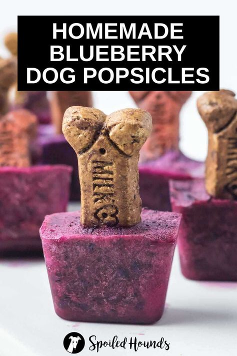 Homemade Blueberry Dog Popsicles with coconut milk. Get the easy recipe and find out how to make the best blueberry popsicles for dogs with simple ingredients. These tasty pupsicles with fresh blueberries are healthy frozen treats for dogs. Dog popsicles are great DIY frozen dog treats with fruit to make for hot summer days. #dogtreats #homemadedogtreats #diydogtreats #dogpopsicles #pupsicles Dog Popsicles Recipe Easy, Popsicles For Dogs, Frozen Treats For Dogs, Milk Bone Dog Treats, Summer Dog Treats, Dog Popsicles, Blueberry Popsicles, Dogs Things, Dog Treats Homemade