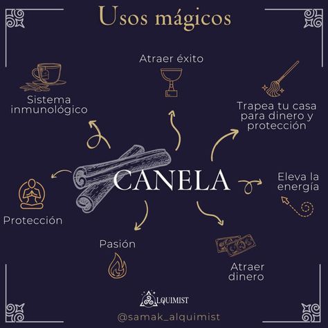 Plantas y aceites esenciales Herbal Witch, Magia Das Ervas, Magic Herbs, Magick Book, Baby Witch, Herbal Magic, Witch Spell, Witch Books, Witch Magic