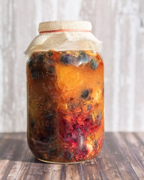 How To Make A Digestive Shrub (Drinking Vinegar) Fermented Drinks Recipes, Homemade Antibiotics How To Make, Fermenting With Honey, Herbal Vinegars How To Make, Kombucha Vinegar, Shrub Recipe Drinking Vinegar, Honey Fermented Ginger, Fermented Ginger Ale, Shrub Drink