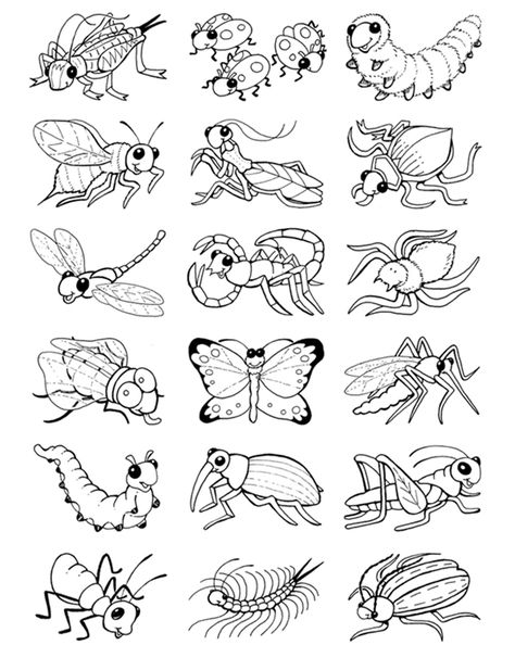 Welcome to Dover Publications Color your own Bug Stickers.... Bug Drawing Insects, Bug Outlines, Bugs Coloring Pages, Insect Coloring Pages Free Printable, Insects For Kids, Bugs And Insects Coloring Pages, Dover Publications Coloring, Bug Coloring Pages, Insect Coloring Pages