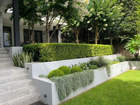 Modern Garden Landscaping, Party Backyard, Sloped Backyard, Pool Backyard, Landscaping Retaining Walls, Garden Stairs, Front Garden Design, Back Garden Design, Sloped Garden