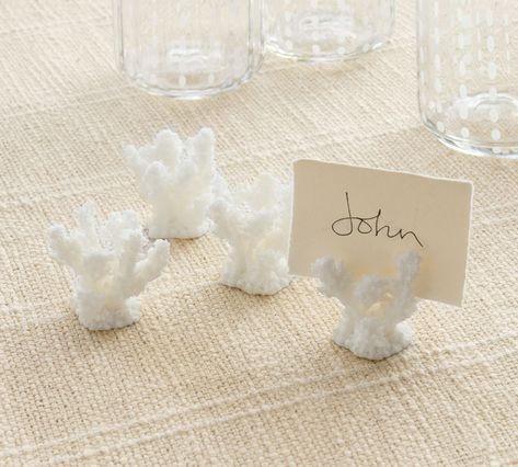 White Coral Place Card Holders - Set of 4 | Pottery Barn