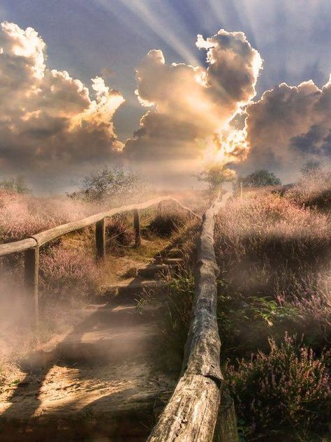 Zen Vibes, Stairway To Heaven, To Heaven, Beautiful Sky, Beautiful Photography, Nature Beauty, Beautiful World, Pretty Pictures, Beautiful Landscapes