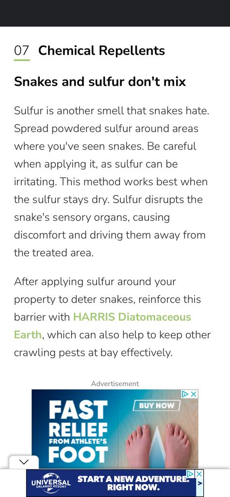 Luckily for homeowners, snakes can be picky about smells, and you probably own many of the ingredients needed for these DIY snake repellents. Athletes Foot, Diatomaceous Earth, Natural Diy, Home Remedies, It Works, How To Apply, Canning