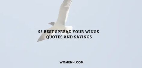 55 Best Spread Your Wings Quotes and Sayings - WomenH.com Spread Your Wings Quote, Wing Quotes, Wings Quotes, Sparkle Quotes, Feel Stuck, Heart With Wings, Soul Quotes, Feeling Stuck, Best Quotes