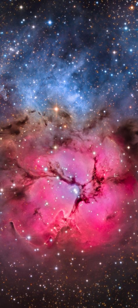 Real Nebula Photos, Trifid Nebula, Telescope Pictures, Hubble Space Telescope Pictures, Hubble Space, Hubble Space Telescope, Space Telescope, Space And Astronomy, Deep Space