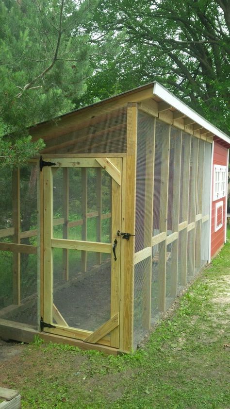 Reban Ayam, Easy Chicken Coop, Chicken Barn, Kolam Koi, Backyard Chicken Coop Plans, Chicken Coup, Diy Chicken Coop Plans, Chicken Coop Run, Coop Design