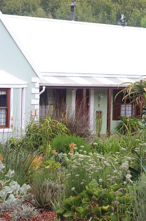 Back to Africa: At Home in My Mother's Garden - Gardenista Garden Ideas South Africa, Colonial Farmhouse, Waterwise Garden, Wildlife Garden, Budget Garden, Organic Vegetable Garden, Coastal Gardens, Africa Do Sul, Garden Route