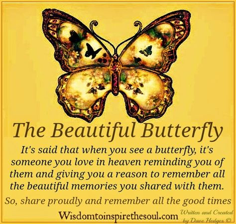 Wisdom To Inspire The Soul: The Beautiful Butterfly. Butterfly Poems, Butterfly Meaning, On The Wings Of Love, Butterfly Quotes, Butterfly Kisses, Yellow Butterfly, Memories Quotes, Mellow Yellow, A Butterfly