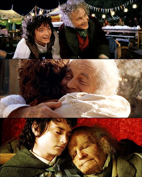 Bilbo and Frodo Lotr Fellowship, Bilbo And Frodo, Ian Holm, Beautiful Relationship, Concerning Hobbits, The Hobbit Movies, Frodo Baggins, Into The West, Elijah Wood