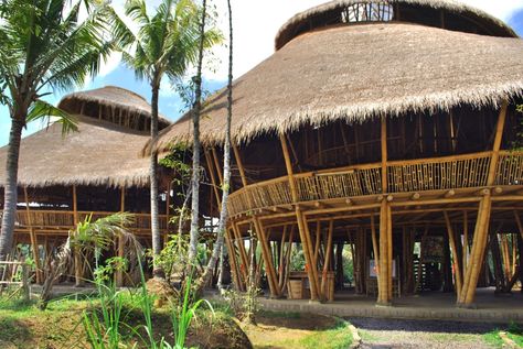 Spiraling Nautili Rooftops Cover a Multi-Story School Made Entirely of Bamboo in Bali | Colossal Green School Bali Architecture, School Master Plan, Bioclimatic Building, Green School Bali, Bamboo Houses, Giant Bamboo, Structural Model, Bali Villas, Administration Building