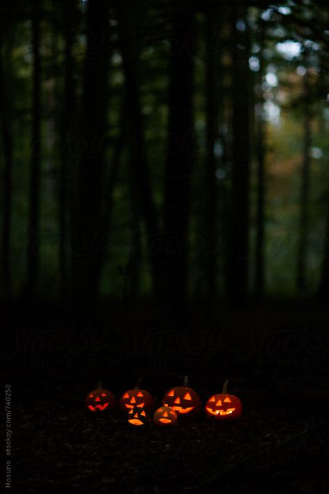 Scary Halloween Pumpkins in the Forest at Dusk by Mosuno Scary Halloween Pumpkins, Halloween Decor Diy, Psy Art, Halloween Tags, Halloween Wallpaper Iphone, Season Of The Witch, Halloween Photos, Wow Art, Halloween Backgrounds