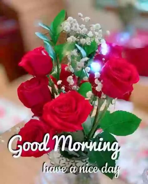 Good Morning Flower Wish Status Video - Good Morning Video Good Morning Emoji, Roses For Him, Morning Emoji, Whatsapp Good Morning, Good Morning Pics, Spring Images, Good Morning Roses, Good Morning Beautiful Flowers, Good Morning Flowers Pictures