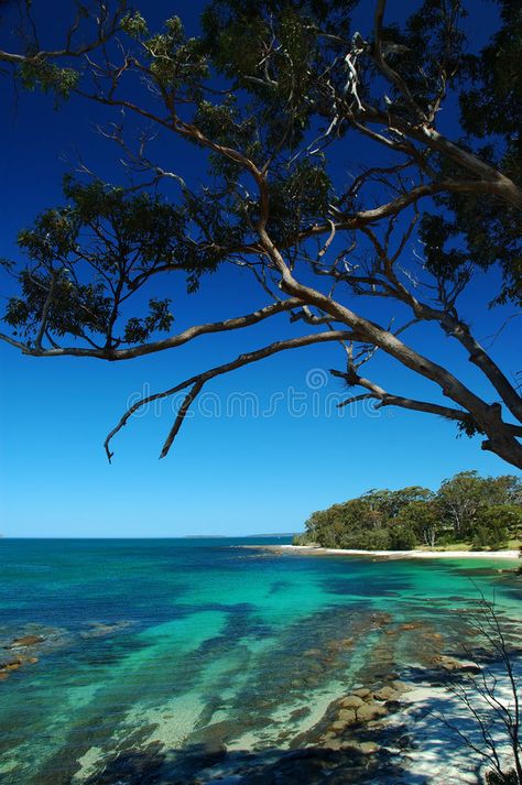 Huskisson beach at Jervis bay. The whitiest sands, clear water. Holiday resort , #Affiliate, #bay, #whitiest, #Jervis, #Huskisson, #beach #ad Jervis Bay Australia, Australia Camping, Camping Australia, South Coast Nsw, Jervis Bay, Sydney Beaches, Australian Beach, Australian Travel, Tasmania Australia