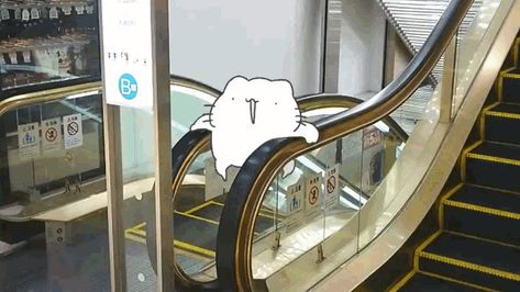 Karameru Escalater GIF - Karameru Escalater Looping - Discover & Share GIFs Loop Gif, Gif Photo, Funny Cartoon Gifs, Aesthetic Gif, Cute Anime Pics, Cute Wallpaper Backgrounds, Really Funny Pictures, Cute Gif, Cat Gif