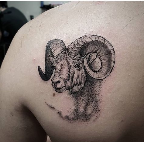 Realistic Ram Tattoo, Ram Head Tattoo Design, Aries Ram Tattoo Men, Rams Head Tattoo, Aries Tattoo For Men Design, Ram Tattoo For Men, Ram Head Tattoo, Aries Tattoo For Men, Ram Tattoos