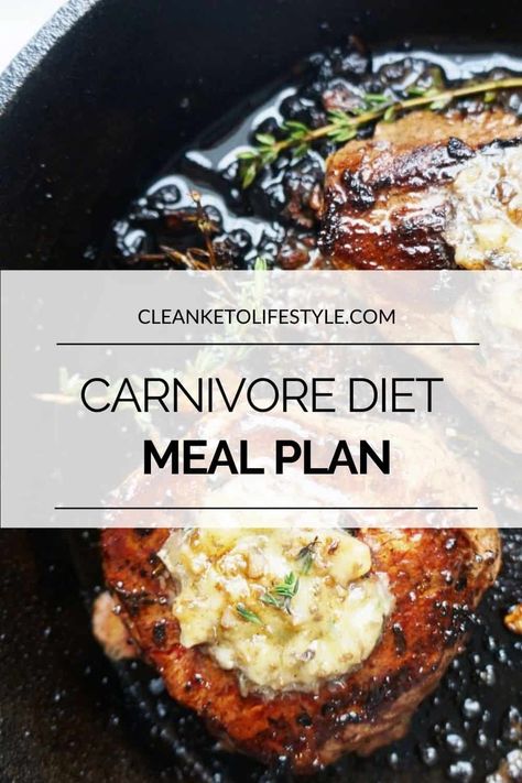 Carnivore Diet Meal Plan, Lion Diet, 1200 Calorie Diet Meal Plans, Caveman Diet Recipes, Caveman Diet, Clean Keto, Easy Keto Meal Plan, Best Smoothie, Breakfast Low Carb